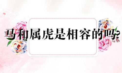 马和属虎是相容的吗?