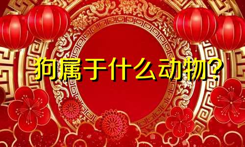 狗属于什么动物?