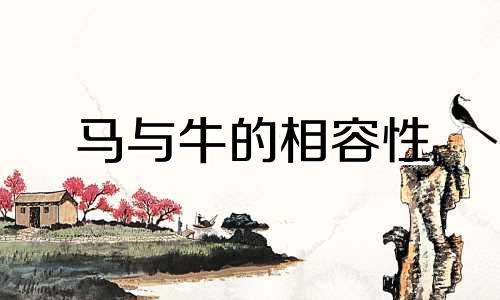 马与牛的相容性