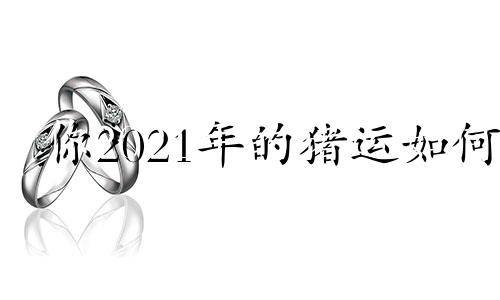 你2021年的猪运如何