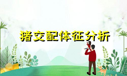 猪交配体征分析