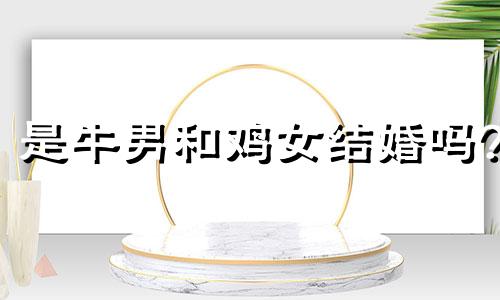 是牛男和鸡女结婚吗?
