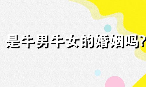 是牛男牛女的婚姻吗?