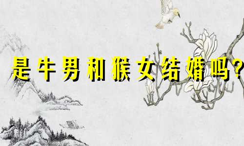是牛男和猴女结婚吗?
