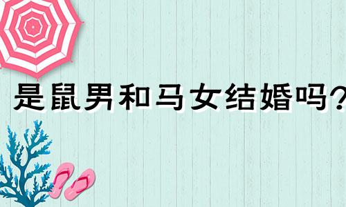 是鼠男和马女结婚吗?