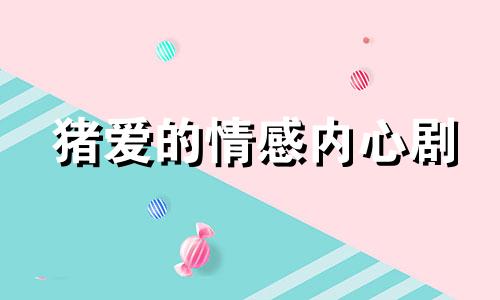 猪爱的情感内心剧