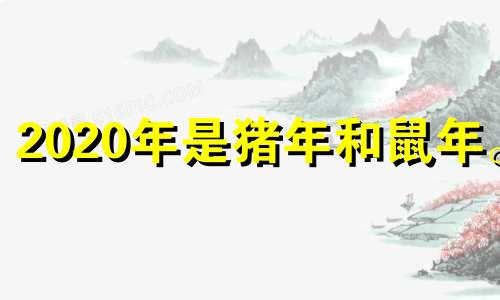 2020年是猪年和鼠年。