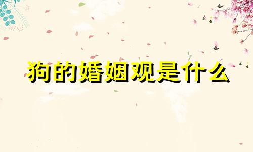 狗的婚姻观是什么