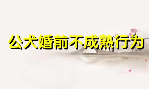 公犬婚前不成熟行为