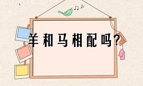 羊和马相配吗?