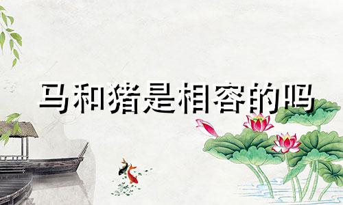 马和猪是相容的吗