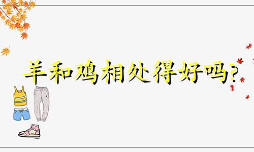 羊和鸡相处得好吗?