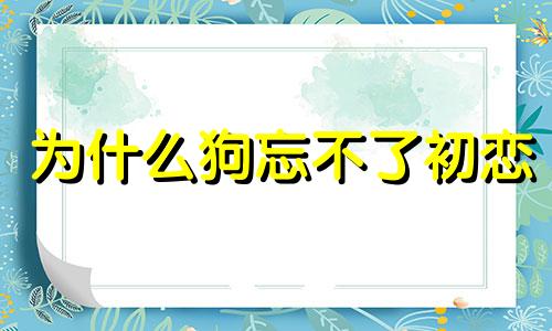 为什么狗忘不了初恋