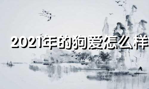 2021年的狗爱怎么样?