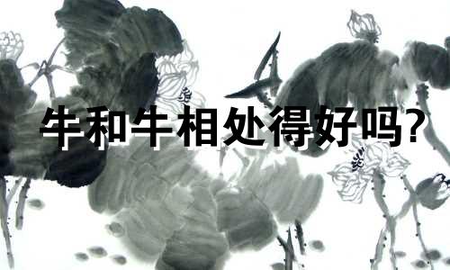 牛和牛相处得好吗?
