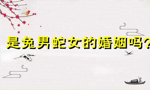 是兔男蛇女的婚姻吗?