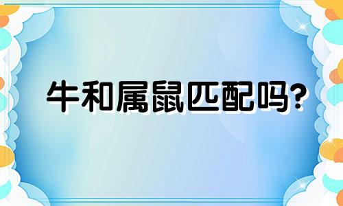 牛和属鼠匹配吗?