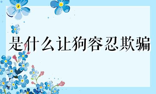 是什么让狗容忍欺骗