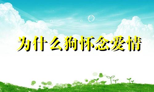 为什么狗怀念爱情