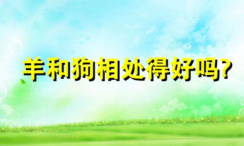 羊和狗相处得好吗?