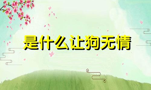 是什么让狗无情