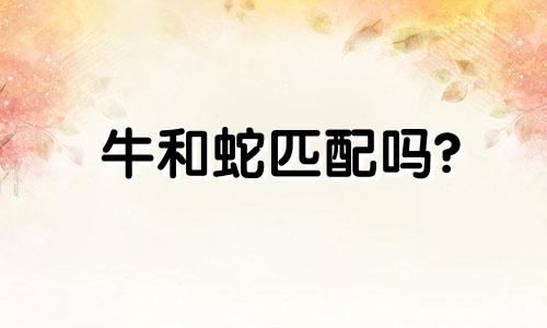 牛和蛇匹配吗?