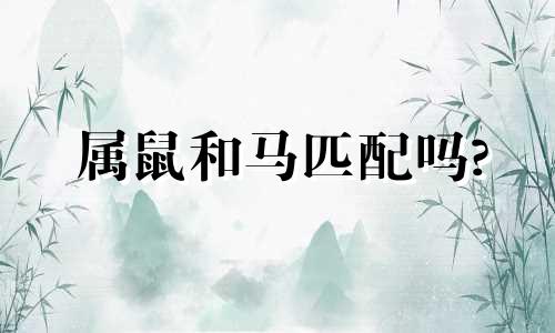 属鼠和马匹配吗?