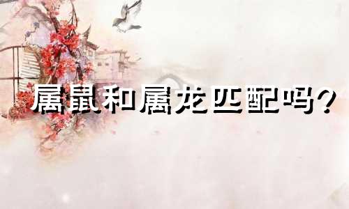 属鼠和属龙匹配吗?