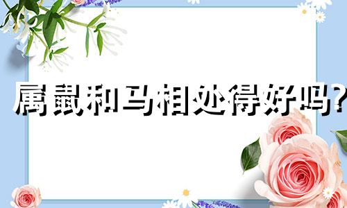 属鼠和马相处得好吗?