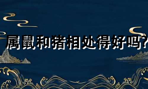 属鼠和猪相处得好吗?