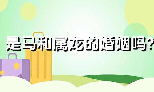 是马和属龙的婚姻吗?