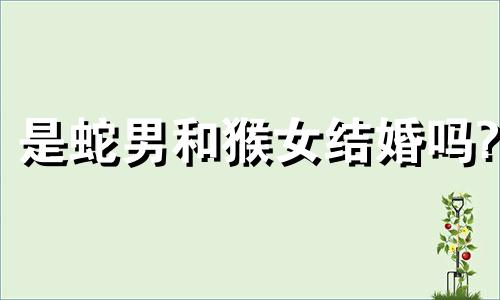 是蛇男和猴女结婚吗?
