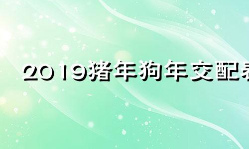 2019猪年狗年交配表