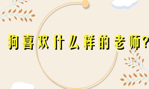 狗喜欢什么样的老师?