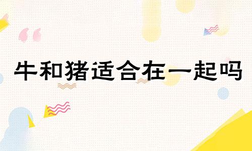 牛和猪适合在一起吗