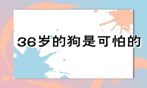 36岁的狗是可怕的