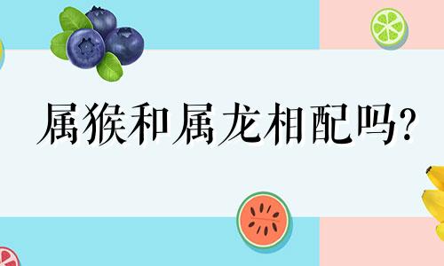 属猴和属龙相配吗?