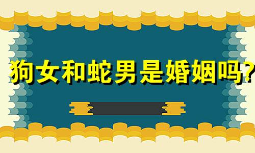 狗女和蛇男是婚姻吗?
