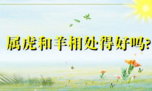 属虎和羊相处得好吗?