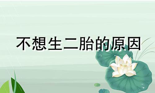 不想生二胎的原因