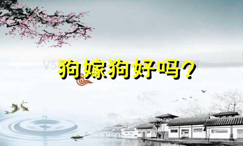狗嫁狗好吗?