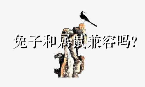 兔子和属鼠兼容吗?