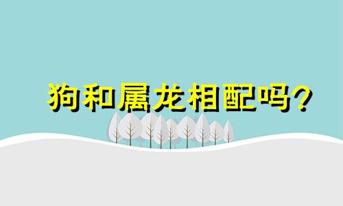 狗和属龙相配吗?