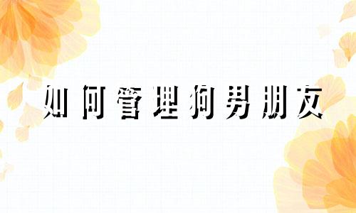 如何管理狗男朋友