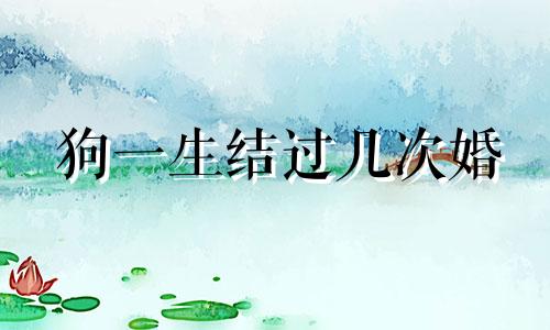 狗一生结过几次婚