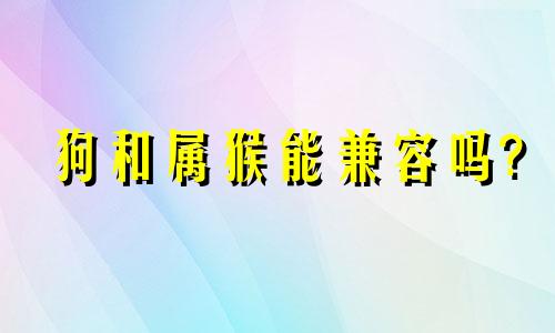 狗和属猴能兼容吗?