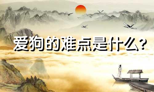 爱狗的难点是什么?