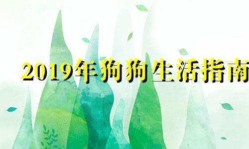 2019年狗狗生活指南