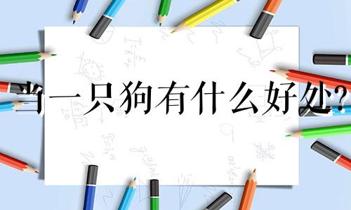 当一只狗有什么好处?