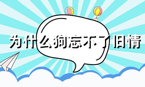 为什么狗忘不了旧情